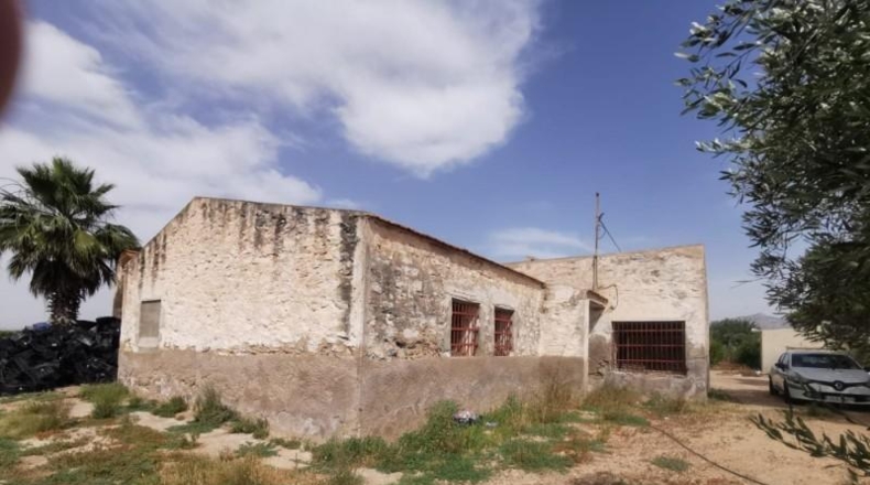 Alicante - Crevillente - 30000m2