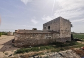 Casa de camp amb terreny en venda a la España, Crevillent, ref.: TR141707 foto