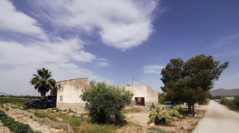 Alicante - Crevillente - 30000m2