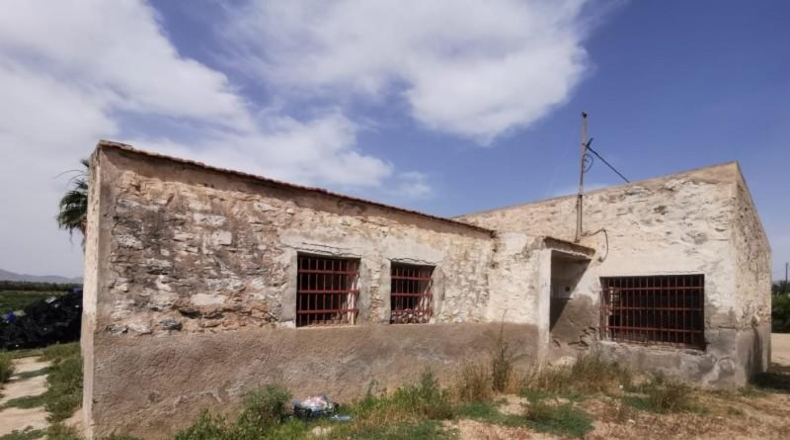 Alicante - Crevillente - 30000m2