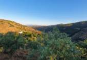 Xalet independent amb terreny en venda a la España, Yunquera, ref.: TR139932 foto