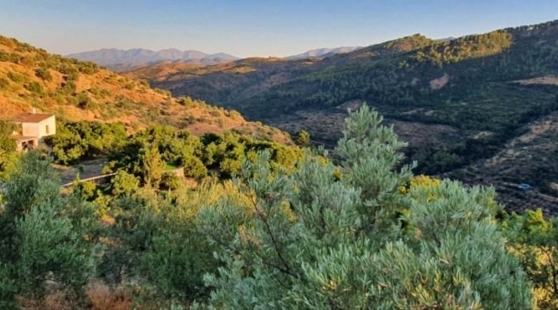 Málaga - Yunquera - 14000m2