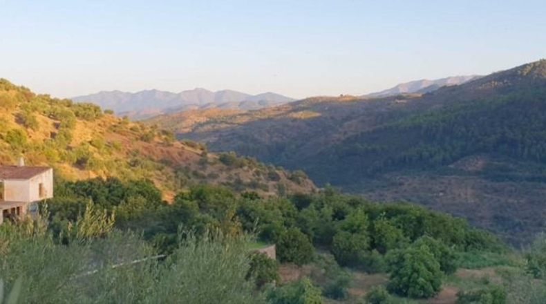 Málaga - Yunquera - 14000m2