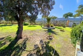 Alburquerque 25000&nbsp;m² 