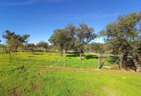 Alburquerque 25000&nbsp;m² 
