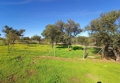 Casa de campo con terreno en venta en la España, Alburquerque, ref: TR140936 foto