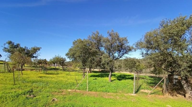 Badajoz - Alburquerque - 25000m2
