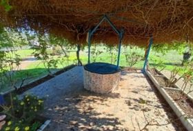 Alburquerque 25000&nbsp;m² 