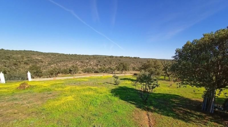 Badajoz - Alburquerque - 25000m2