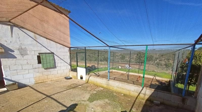 Badajoz - Alburquerque - 25000m2