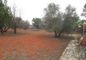 Xalet independent amb terreny en venda a la España, Valdepeñas, ref.: TR133093 foto