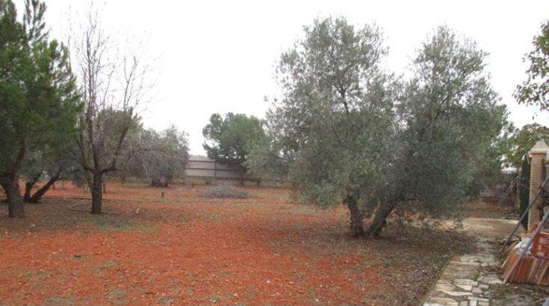 Ciudad Real - Valdepeñas - 2200m2