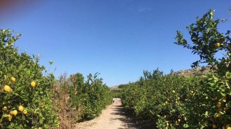 Navarra - Monteagudo - 13800m2