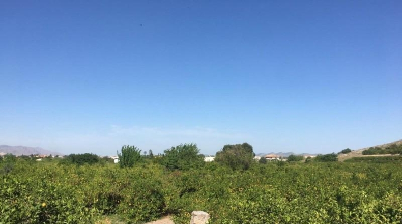 Navarra - Monteagudo - 13800m2