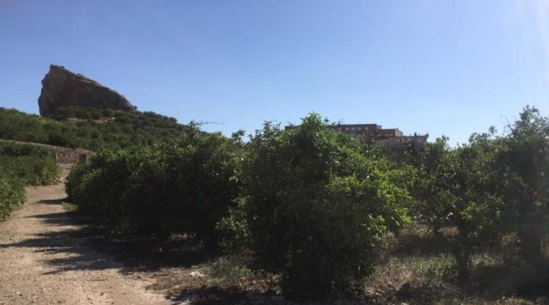 Navarra - Monteagudo - 13800m2