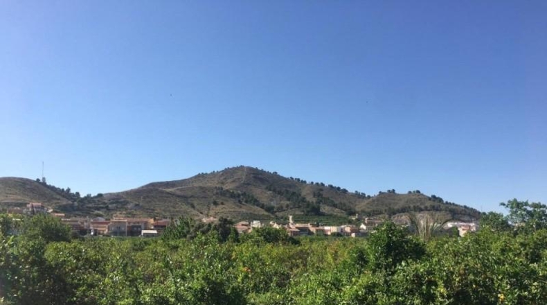 Navarra - Monteagudo - 13800m2