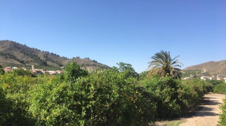 Navarra - Monteagudo - 13800m2