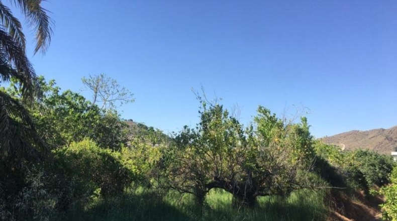 Navarra - Monteagudo - 13800m2