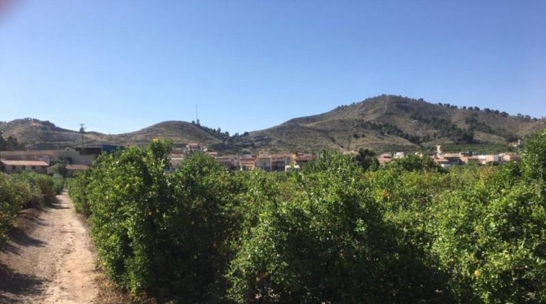 Navarra - Monteagudo - 13800m2