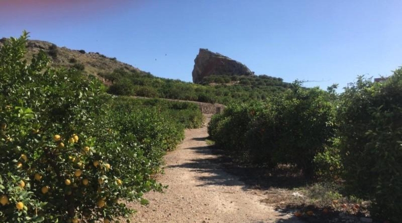 Navarra - Monteagudo - 13800m2