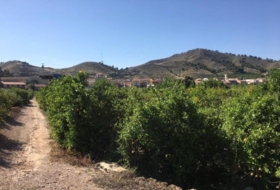 Foto 11