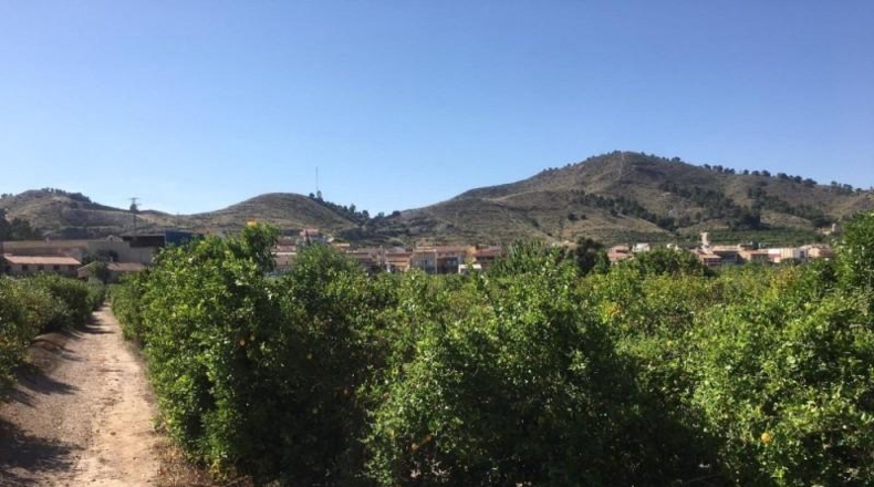 Navarra - Monteagudo - 13800m2