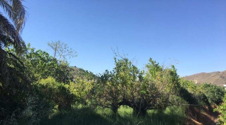 Navarra - Monteagudo - 13800m2
