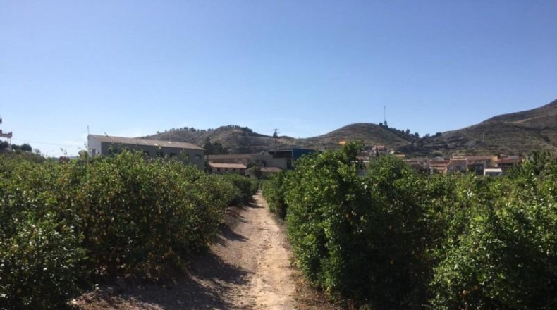 Navarra - Monteagudo - 13800m2