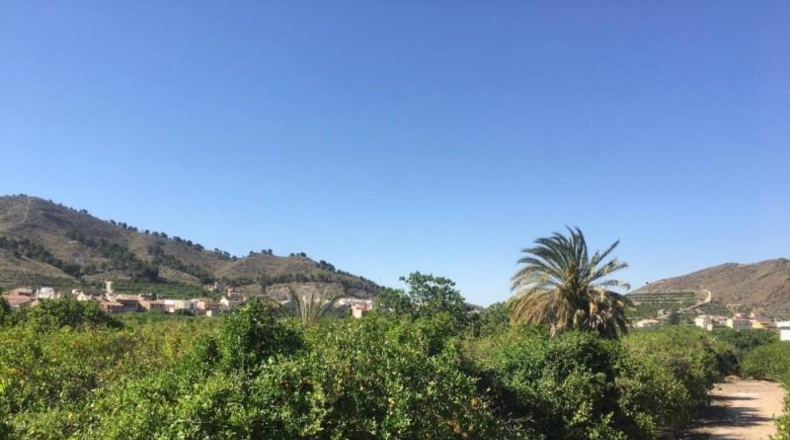 Navarra - Monteagudo - 13800m2