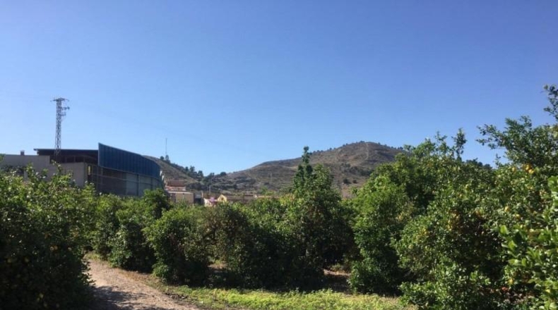 Navarra - Monteagudo - 13800m2