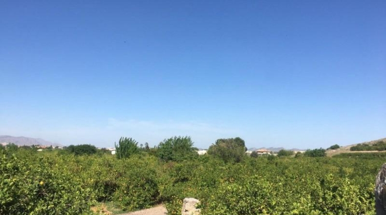 Navarra - Monteagudo - 13800m2