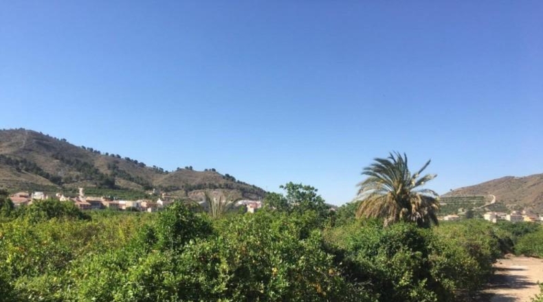 Navarra - Monteagudo - 13800m2