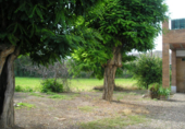 Chalet independiente con terreno en venta en la España, Terrer, ref: TR134075 foto