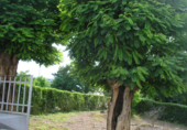 Chalet independiente con terreno en venta en la España, Terrer, ref: TR134075 foto