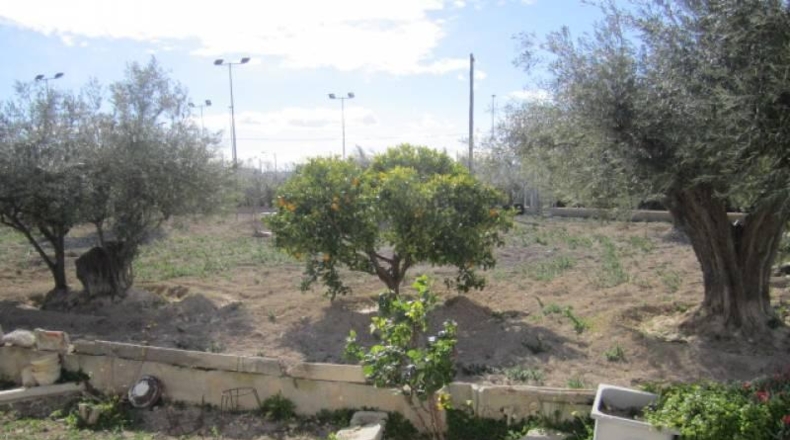 Alicante - Novelda - 5500m2