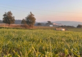 Sòl urbà en venda a la España, Renedo de Piélagos, ref.: TR361224 foto