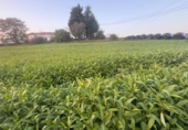 Sòl urbà en venda a la España, Renedo de Piélagos, ref.: TR361224 foto