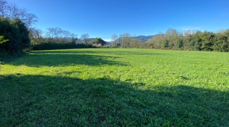 Cantàbria - Torrelavega - 39723m2