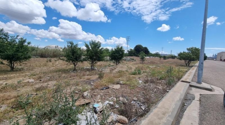 Zaragoza - Saragossa - 4769m2