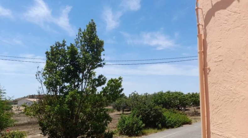 Almeria - Cuevas del Almanzora - 3000m2