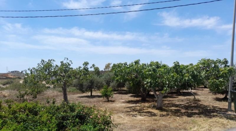 Almeria - Cuevas del Almanzora - 3000m2