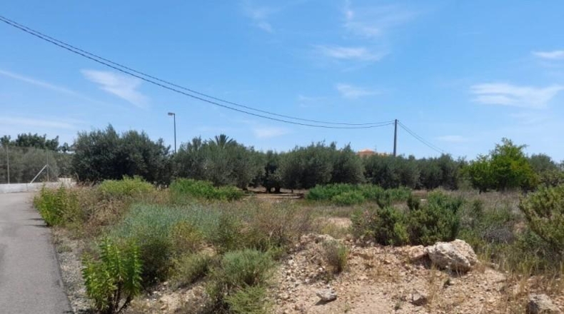 Almeria - Cuevas del Almanzora - 3000m2
