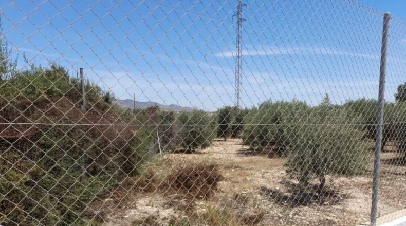 Almeria - Cuevas del Almanzora - 3000m2