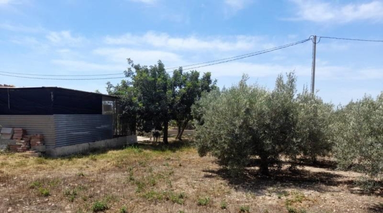 Almeria - Cuevas del Almanzora - 3000m2