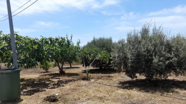 Almeria - Cuevas del Almanzora - 3000m2