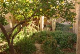 Foto 9
