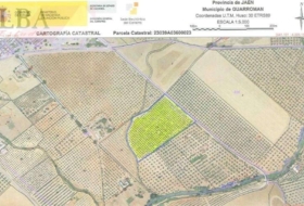 Guarromán 35000&nbsp;м²