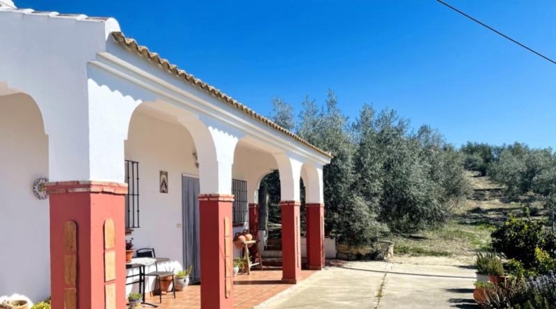 Málaga - Antequera - 92m2