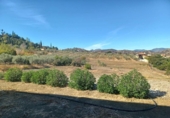 Casa de campo con terreno en venta en la España, Coín, ref: TR175737 foto
