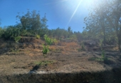 Casa de campo con terreno en venta en la España, Coín, ref: TR175737 foto